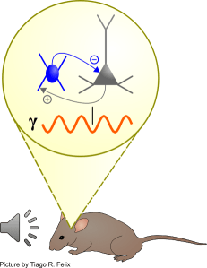 Topic of the research project